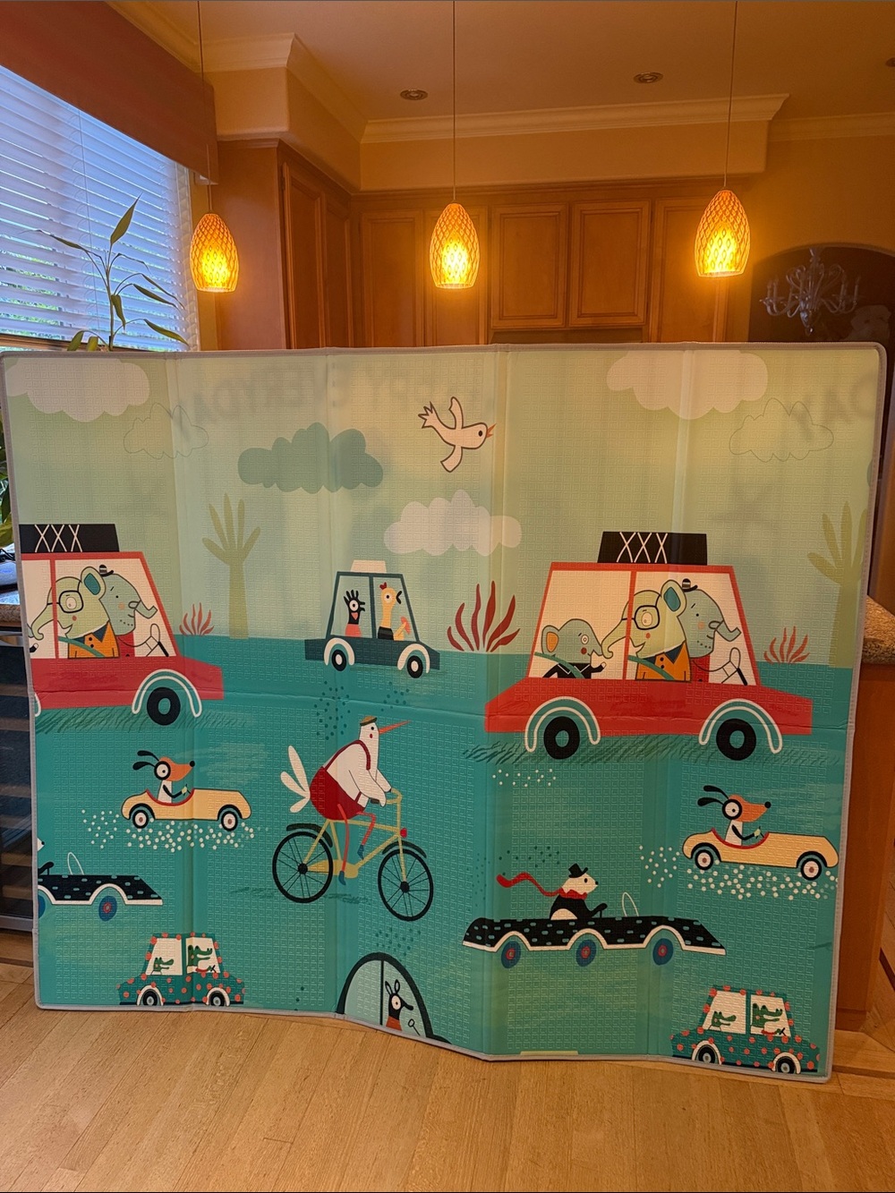 Baby Playmat